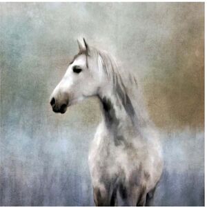 Trademark Fine Art Katrina Jones 'Misty Grey Dappled Horse' Canvas Art Grey 24 x 24 Trademark Fine Art Katrina Jones 'Misty Grey Dappled Horse' Canvas Art Grey 24 x 24
