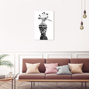 Wynwood Studio Canvas Animals Hoopoe Black and White Black and Glam Wall Art Canvas Print Black 30 x 20 Wynwood Studio Canvas Animals Hoopoe Black and White Black and Glam Wall Art Canvas Print Black 30 x 20