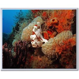 Ready2HangArt Chris Doherty 'Underwater' Framed Canvas Wall Art Orange,Brown,Blue 21 in. W x 16 in. H Ready2HangArt Chris Doherty 'Underwater' Framed Canvas Wall Art Orange,Brown,Blue 21 in. W x 16 in. H