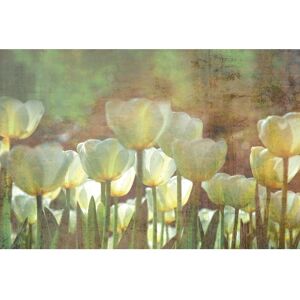 Dimex White Tulips Abstract Wall Mural - 98.4in x 147.6in x 0.025in Green 98.4in x 147.6in x 0.025in Dimex White Tulips Abstract Wall Mural - 98.4in x 147.6in x 0.025in Green 98.4in x 147.6in x 0.025in