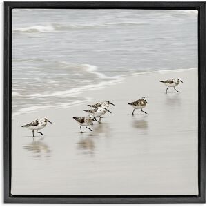Stupell Scurrying Sandpiper Birds Framed Floater Canvas Wall Art Design By Natalie Carpentieri Beige 18 x 18 Stupell Scurrying Sandpiper Birds Framed Floater Canvas Wall Art Design By Natalie Carpentieri Beige 18 x 18