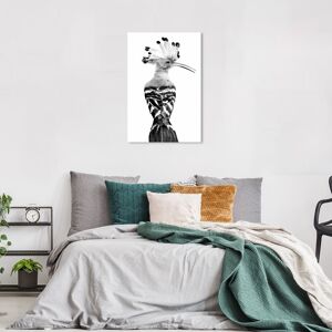 Wynwood Studio Canvas Animals Hoopoe Black and White Black and Glam Wall Art Canvas Print Black 36 x 24 Wynwood Studio Canvas Animals Hoopoe Black and White Black and Glam Wall Art Canvas Print Black 36 x 24