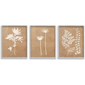 Stupell Nature Botanical Silhouettes Framed Giclee Art Design By GraffiTee Studios (Set of 3) Brown 16 x 20 Stupell Nature Botanical Silhouettes Framed Giclee Art Design By GraffiTee Studios (Set of 3) Brown 16 x 20
