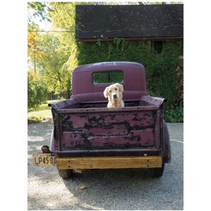 Trademark Fine Art Jim Dratfield 'Get Out of Dodge' Canvas Art Black 18 x 24 Trademark Fine Art Jim Dratfield 'Get Out of Dodge' Canvas Art Black 18 x 24