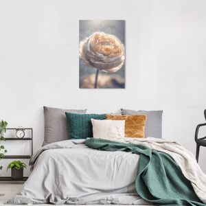 Wynwood Studio Canvas Floral and Botanical Evening Peony Bliss White and Cream White Glam Wall Art Canvas Print White 24 x 36 Wynwood Studio Canvas Floral and Botanical Evening Peony Bliss White and Cream White Glam Wall Art Canvas Print White 24 x 36