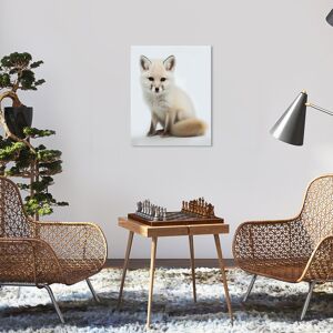 Wynwood Studio Canvas Animals Baby Animal Artic Fox White and Cream White Modern & Contemporary Wall Art Canvas Print 20 x 16 Wynwood Studio Canvas Animals Baby Animal Artic Fox White and Cream White Modern & Contemporary Wall Art Canvas Print 20 x 16