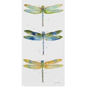 Trademark Fine Art Jean Plout 'Dragonfly Bliss 10' Canvas Art Multi 24 x 47 Trademark Fine Art Jean Plout 'Dragonfly Bliss 10' Canvas Art Multi 24 x 47