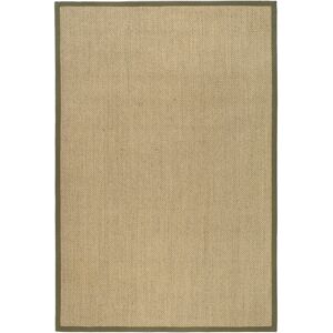 SAFAVIEH Natural Fiber Jenney Sisal Border Rug Natural/Green 6' x 9' SAFAVIEH Natural Fiber Jenney Sisal Border Rug Natural/Green 6' x 9'