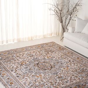 SAFAVIEH Lauren Ralph Lauren Kitza Transitional Rug Ivory/Grey 6'7 SAFAVIEH Lauren Ralph Lauren Kitza Transitional Rug Ivory/Grey 6'7