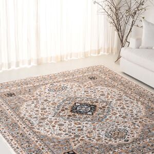 SAFAVIEH Lauren Ralph Lauren Metanet Transitional Rug Ivory/Grey 6'7 SAFAVIEH Lauren Ralph Lauren Metanet Transitional Rug Ivory/Grey 6'7