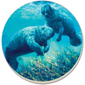 Counterart Absorbent Stone Coasters - Manatees In Sunlight - Set of 4 - 4x4x82 4x4x82 Counterart Absorbent Stone Coasters - Manatees In Sunlight - Set of 4 - 4x4x82 4x4x82