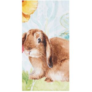 C&F Home Floppy Ear Bunny Easter Printed Cotton Flour Sack Kitchen Towel White 27.0 In. L X 18.0 In. W X 0.15 In. H C&F Home Floppy Ear Bunny Easter Printed Cotton Flour Sack Kitchen Towel White 27.0 In. L X 18.0 In. W X 0.15 In. H