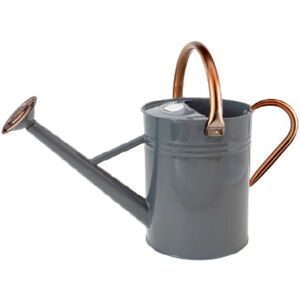 GARDMAN 1 gal Cool Grey/Copper watering can Silver 6.0 In. L X 14.0 In. W X 9.0 In. H GARDMAN 1 gal Cool Grey/Copper watering can Silver 6.0 In. L X 14.0 In. W X 9.0 In. H