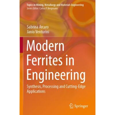 Springer Modern Ferrites in Engineering - Soft cover Springer Modern Ferrites in Engineering - Soft cover