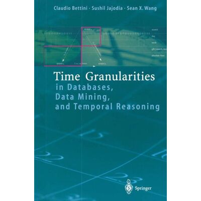Springer Time Granularities in Databases, Data Mining, and Temporal Reasoning - Soft cover Springer Time Granularities in Databases, Data Mining, and Temporal Reasoning - Soft cover