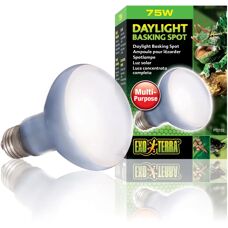 Exo Terra Intensive Sonnenbad-Lampe - Reptilienlampe