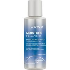 Joico Moisture Recovery Shampoo - Feuchtigkeitsspendend bei Trockenem Haar