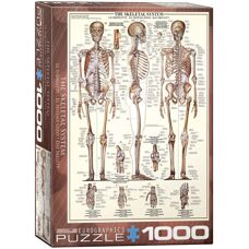 Eurographics Scheletro Umano Puzzle da 1000 Pezzi - Puzzle