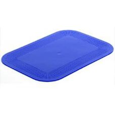 NRS Healthcare - Dycem Non-slip Mat - Blue - 25x18 cm - Mat
