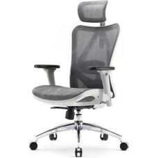 Sihoo - Doro S100 - Noir - Ergonomique - Office Chair - Publicité