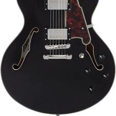 D'Angelico Premier DC - Halbakustik-Gitarre - Schwarz Flake