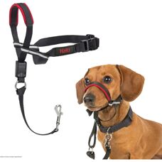 Halti OptiFit Hundekopfband klein - Komfort & Kontrolle