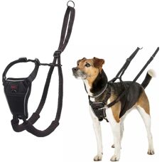 Halti No Pull Geschirr - Schwarz XS Hund