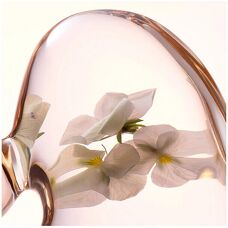 Lancaster Skin Essentials Verzachtende Perfecting Toner - Voor Alle Huidtypes