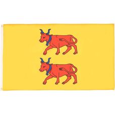 Az Flag - Béarn Province Flag - 150x90cm - Polyester - Flag