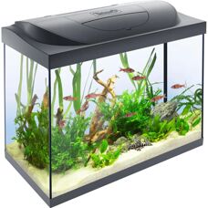 Tetra 80L Akvárium - Fekete LED, szűrő, fűtő - Starter Line