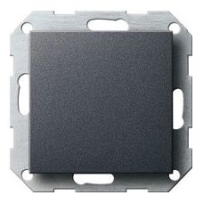 Gira Anthrazit System 55 Wandplatte