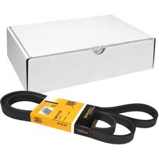 ALVADI CONTINENTAL CTAM V-ribbed belt - V-ribbed belt