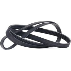 ALVADI CONTINENTAL CTAM V-ribbed belt - V-ribbed belt