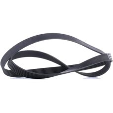 ALVADI CONTINENTAL CTAM V-ribbed belt - V-ribbed belt