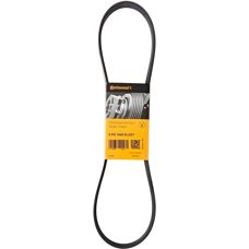 ALVADI CONTINENTAL CTAM V-Rippenriemen - Steuerkette
