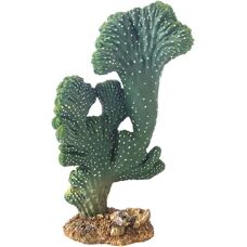 Hobby Victoria Cactus - Decorazione Paesaggio Deserto
