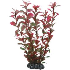 HOBBY Ludwigia - 25 cm - Acciaio inossidabile - Ludwigia