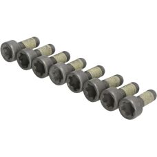 Schaeffler LuK 411 0273 10 - Vite del volano dell'embrayage
