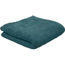 Ross Vita Blau Baumwollhandtuch - 50x100cm Set aus 2