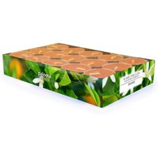 Pajoma 4019581910260 wax candle - Orange, Green - 30 pcs