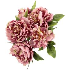 Flair Flower Künstliche Pfingstrose - 5 Köpfe - Dekoration