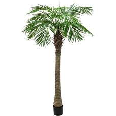 EUROPALMS Phoenix Künstliche Palme - 210cm - Innen/Außen