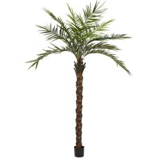 EUROPALMS Kentia Deluxe Palme - Künstliche Pflanze 300cm