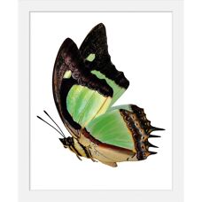 QUEENCE - Charly - Grün - 30x40 cm - Gerahmtes Wandbild