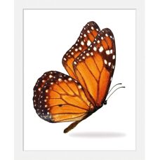 QUEENCE - Jalina - 30x40 cm - orange - Wandbilddruck