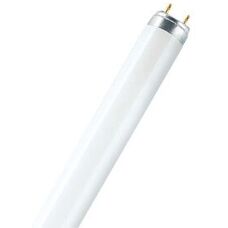 Osram LUMILUX T8 Fluorescent Bulb - 58W, Cool White, G13