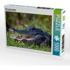 CALVENDO - Alligator du Mississippi - 1000 Pieces - Puzzle