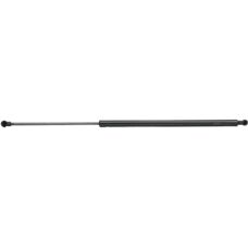RIDEX Renault Grand Scénic III Gasveer - Achterklep