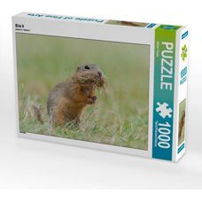Calvendo - 1000 Pezzi - Alfred Trunk - 64 x 48 cm - Puzzle