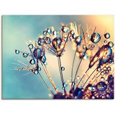 ARTLAND Blau Pusteblume Glitzertau Wandbild - Blumen